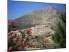 View from Mycenae, Peloponnese, Greece-Oliviero Olivieri-Mounted Photographic Print