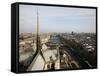 View from Notre Dame Cathedral Roof, Paris, France, Europe-Godong-Framed Stretched Canvas