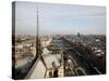 View from Notre Dame Cathedral Roof, Paris, France, Europe-Godong-Stretched Canvas