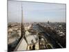 View from Notre Dame Cathedral Roof, Paris, France, Europe-Godong-Mounted Photographic Print