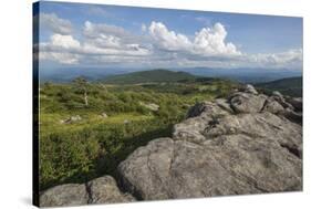 View from one of the many rocky summits of Grayson Highlands State Park, Virginia, United States of-Jon Reaves-Stretched Canvas
