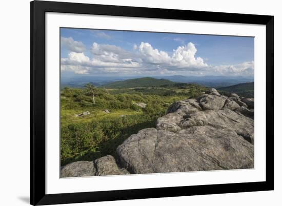 View from one of the many rocky summits of Grayson Highlands State Park, Virginia, United States of-Jon Reaves-Framed Photographic Print