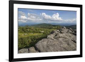 View from one of the many rocky summits of Grayson Highlands State Park, Virginia, United States of-Jon Reaves-Framed Photographic Print