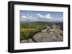 View from one of the many rocky summits of Grayson Highlands State Park, Virginia, United States of-Jon Reaves-Framed Photographic Print