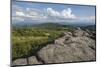 View from one of the many rocky summits of Grayson Highlands State Park, Virginia, United States of-Jon Reaves-Mounted Photographic Print