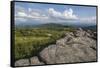 View from one of the many rocky summits of Grayson Highlands State Park, Virginia, United States of-Jon Reaves-Framed Stretched Canvas