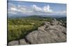 View from one of the many rocky summits of Grayson Highlands State Park, Virginia, United States of-Jon Reaves-Stretched Canvas