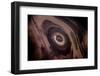 View from plane of eroded salt dome, Kavir Desert, Iran-Paul Williams-Framed Photographic Print