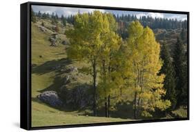 View from Plateau, Durmitor Np, Montenegro, October 2008-Radisics-Framed Stretched Canvas