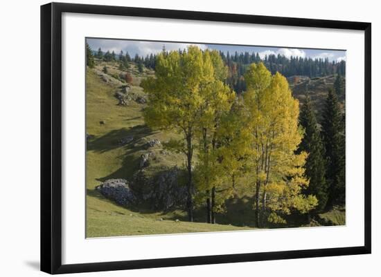 View from Plateau, Durmitor Np, Montenegro, October 2008-Radisics-Framed Photographic Print