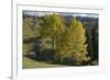 View from Plateau, Durmitor Np, Montenegro, October 2008-Radisics-Framed Photographic Print