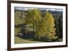 View from Plateau, Durmitor Np, Montenegro, October 2008-Radisics-Framed Photographic Print