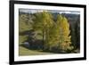 View from Plateau, Durmitor Np, Montenegro, October 2008-Radisics-Framed Photographic Print