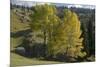 View from Plateau, Durmitor Np, Montenegro, October 2008-Radisics-Mounted Photographic Print