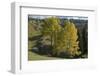 View from Plateau, Durmitor Np, Montenegro, October 2008-Radisics-Framed Photographic Print