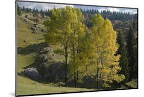 View from Plateau, Durmitor Np, Montenegro, October 2008-Radisics-Mounted Photographic Print