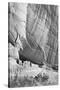 View From River Valley "Canyon De Chelly" National Monument Arizona. 1933-1942-Ansel Adams-Stretched Canvas