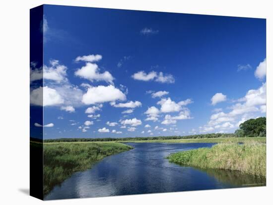 View from Riverbank of White Clouds and Blue Sky, Myakka River State Park, Near Sarasota, USA-Ruth Tomlinson-Stretched Canvas