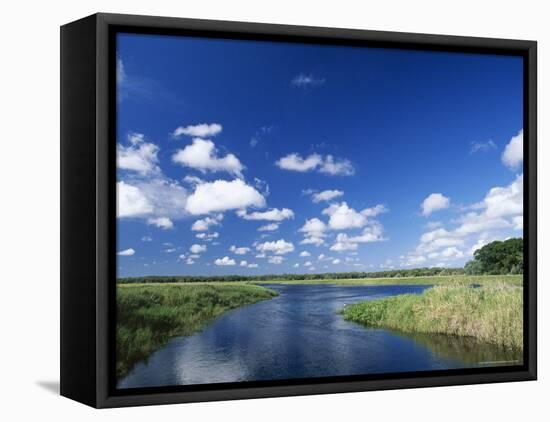 View from Riverbank of White Clouds and Blue Sky, Myakka River State Park, Near Sarasota, USA-Ruth Tomlinson-Framed Stretched Canvas