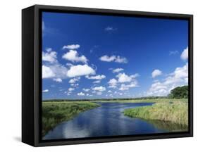 View from Riverbank of White Clouds and Blue Sky, Myakka River State Park, Near Sarasota, USA-Ruth Tomlinson-Framed Stretched Canvas