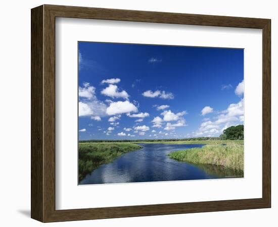 View from Riverbank of White Clouds and Blue Sky, Myakka River State Park, Near Sarasota, USA-Ruth Tomlinson-Framed Photographic Print