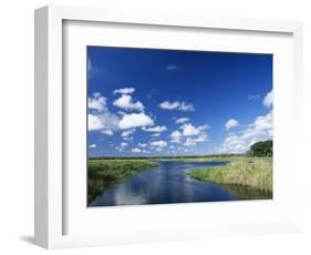 View from Riverbank of White Clouds and Blue Sky, Myakka River State Park, Near Sarasota, USA-Ruth Tomlinson-Framed Photographic Print