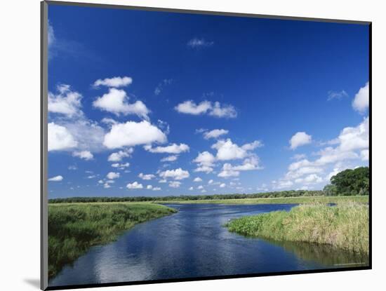 View from Riverbank of White Clouds and Blue Sky, Myakka River State Park, Near Sarasota, USA-Ruth Tomlinson-Mounted Photographic Print