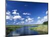 View from Riverbank of White Clouds and Blue Sky, Myakka River State Park, Near Sarasota, USA-Ruth Tomlinson-Mounted Photographic Print