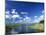 View from Riverbank of White Clouds and Blue Sky, Myakka River State Park, Near Sarasota, USA-Ruth Tomlinson-Mounted Photographic Print