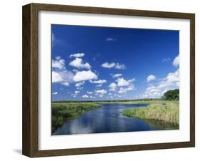 View from Riverbank of White Clouds and Blue Sky, Myakka River State Park, Near Sarasota, USA-Ruth Tomlinson-Framed Photographic Print