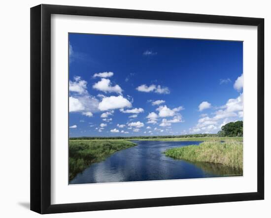 View from Riverbank of White Clouds and Blue Sky, Myakka River State Park, Near Sarasota, USA-Ruth Tomlinson-Framed Photographic Print