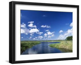 View from Riverbank of White Clouds and Blue Sky, Myakka River State Park, Near Sarasota, USA-Ruth Tomlinson-Framed Photographic Print