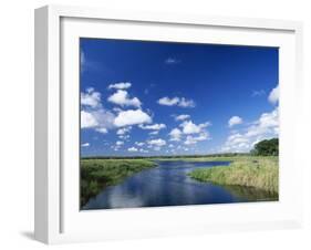 View from Riverbank of White Clouds and Blue Sky, Myakka River State Park, Near Sarasota, USA-Ruth Tomlinson-Framed Photographic Print