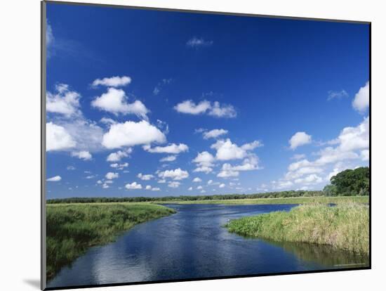 View from Riverbank of White Clouds and Blue Sky, Myakka River State Park, Near Sarasota, USA-Ruth Tomlinson-Mounted Photographic Print