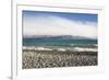 View from rocky shoreline across the stormy waters of Lake Pukaki, near Twizel, Mackenzie district,-Ruth Tomlinson-Framed Photographic Print