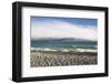 View from rocky shoreline across the stormy waters of Lake Pukaki, near Twizel, Mackenzie district,-Ruth Tomlinson-Framed Photographic Print