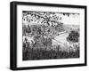 View from Ruchmond Hill, 2004-Vincent Alexander Booth-Framed Giclee Print