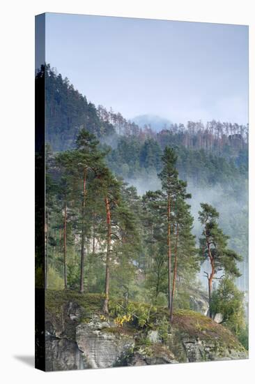 View from Rudolfuv Kamen Hillside of Forest in Mist, Jetrichovice, Ceske Svycarsko, Czech Republic-Ruiz-Stretched Canvas