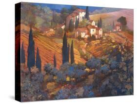 View From San Gimignano-Philip Craig-Stretched Canvas