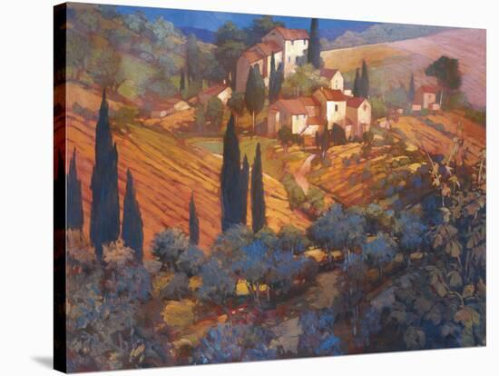 View From San Gimignano-Philip Craig-Stretched Canvas