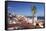 View from Santa Luzia viewpoint over Alfama district to Tejo River, Lisbon, Portugal, Europe-Markus Lange-Framed Stretched Canvas