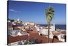 View from Santa Luzia viewpoint over Alfama district to Tejo River, Lisbon, Portugal, Europe-Markus Lange-Stretched Canvas