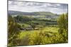 View from Shaftesbury over Cranborne Chase Area of Outstanding Natural Beauty-Stuart Black-Mounted Photographic Print