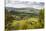 View from Shaftesbury over Cranborne Chase Area of Outstanding Natural Beauty-Stuart Black-Stretched Canvas