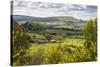 View from Shaftesbury over Cranborne Chase Area of Outstanding Natural Beauty-Stuart Black-Stretched Canvas