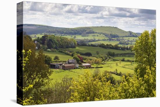 View from Shaftesbury over Cranborne Chase Area of Outstanding Natural Beauty-Stuart Black-Stretched Canvas