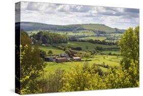 View from Shaftesbury over Cranborne Chase Area of Outstanding Natural Beauty-Stuart Black-Stretched Canvas