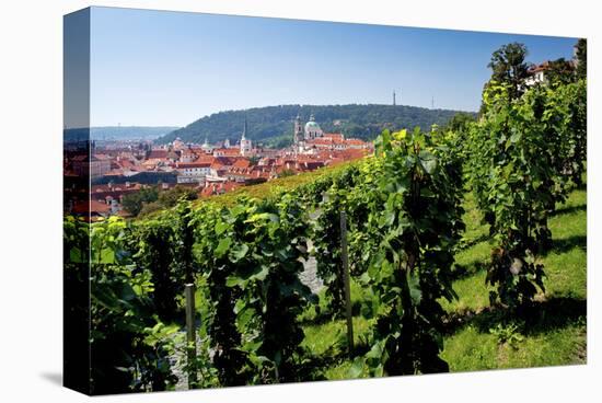 View from St. Wenceslas' Vineyard at the Royal Gardens on Hradcany towards Prague Lesser Town-null-Stretched Canvas