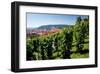 View from St. Wenceslas' Vineyard at the Royal Gardens on Hradcany towards Prague Lesser Town-null-Framed Art Print