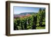 View from St. Wenceslas' Vineyard at the Royal Gardens on Hradcany towards Prague Lesser Town-null-Framed Art Print